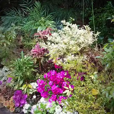 東京大神宮(東京都)