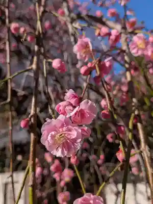 長円寺(東京都)