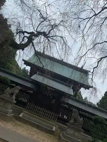 花岡八幡宮の狛犬