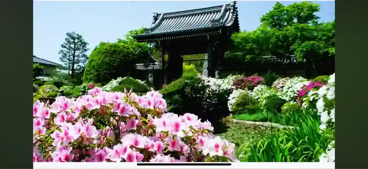 妙満寺(京都府)