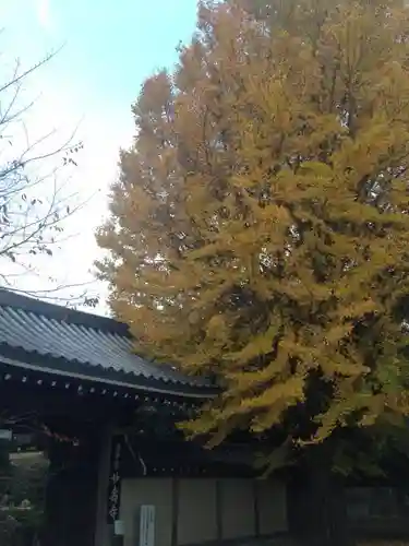 妙寿寺の山門・神門