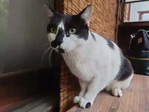 大綱金刀比羅神社(神奈川県)