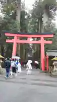 箱根神社の鳥居