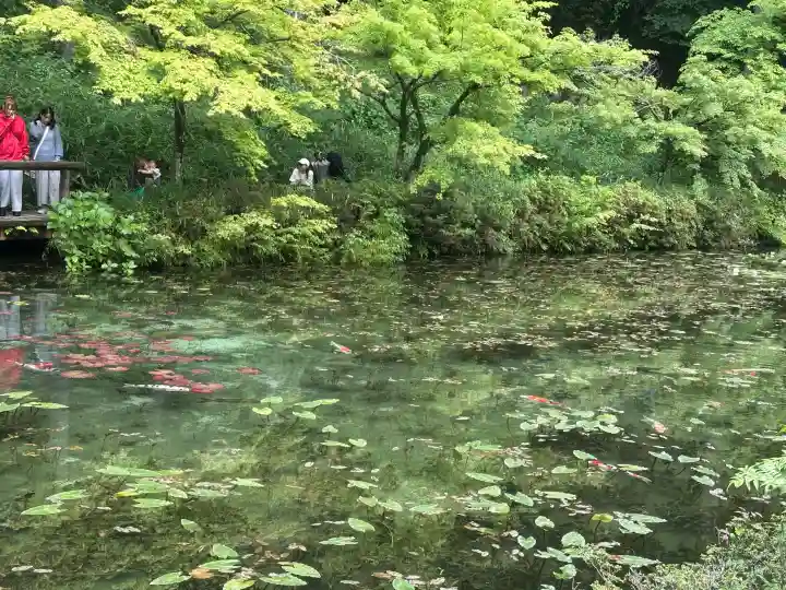 根道神社の{uncategorized: "未分類", other: "その他", undefined: "問題あり", building: "その他建物", grave: "お墓", sacred_gate: "鳥居", guardian: "狛犬", statue: "像", buddha: "仏像", history: "歴史", nature: "自然", garden: "庭園", animal: "動物", pagoda: "塔", temizu: "手水舎", mountain_gate: "山門・神門", sanctuary: "本殿・本堂", subordinate: "末社・摂社", art: "芸術", scenery: "景色", jizo: "地蔵", ema: "絵馬", goshuin: "御朱印", omikuji: "おみくじ", items: "授与品その他", amulet: "お守り", goshuincho: "御朱印帳", eats: "食事", festival: "お祭り", votive_dance: "神楽", shichigosan: "七五三参", wedding: "結婚式", experience: "体験その他", initially: "初詣", around: "周辺", anti_infection: "感染症対策"}