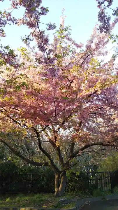 貴船神社の自然