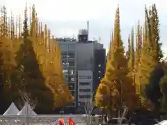 明治神宮(東京都)