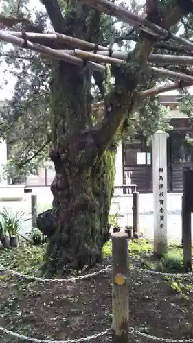 茂林寺の庭園