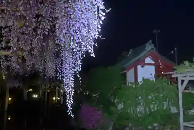 亀戸天神社(東京都)