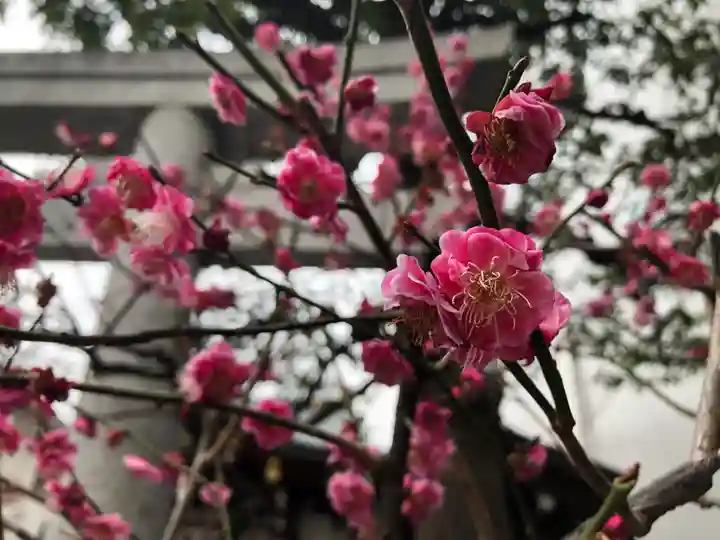 北野神社の自然