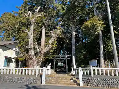 敬満神社のその他建物