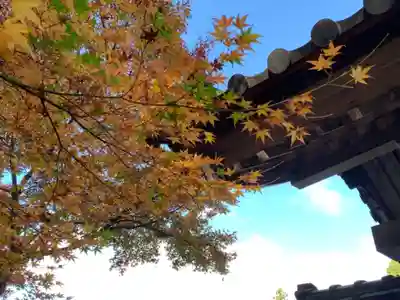 百済寺のその他建物