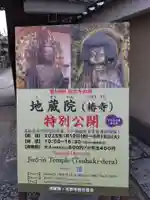 地蔵院(椿寺)(京都府)