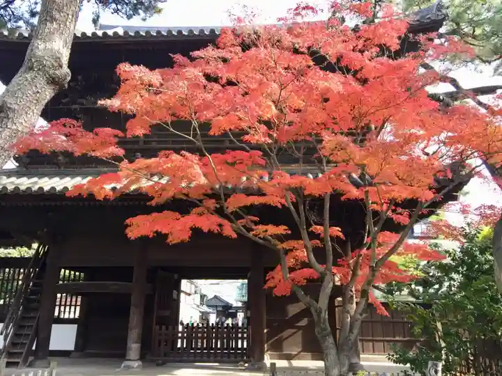 泉岳寺の山門・神門