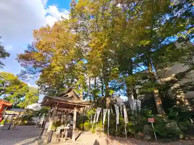 秩父今宮神社(埼玉県)