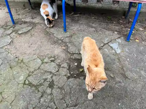 豊玉姫神社(香川県)