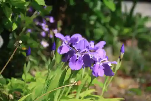 阿邪訶根神社の庭園
