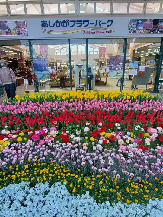寺岡山元三大師の周辺