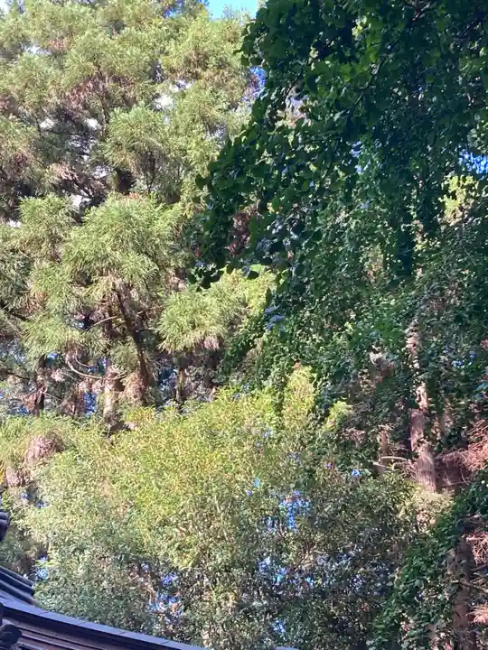 鹿島神社(茨城県)