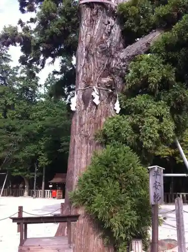 吉備津彦神社の自然