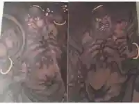 平等寺(因幡堂)の御朱印帳