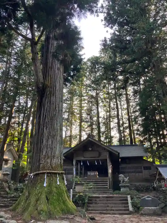 大山田神社(長野県)