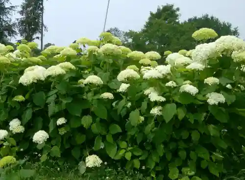 有珠善光寺(北海道)