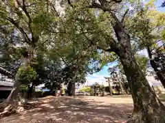 鏡作麻気神社(奈良県)