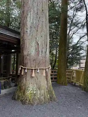 椿大神社(三重県)