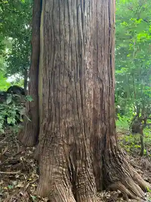 八雲神社(千葉県)