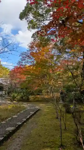 十輪寺(京都府)