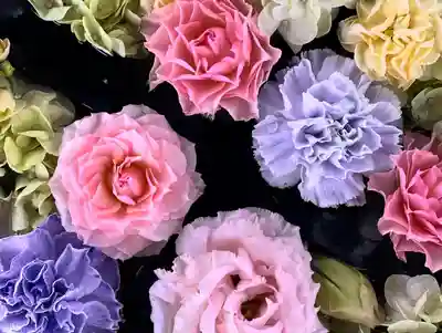 金峯神社(新潟県)