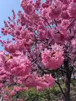本牧神社(神奈川県)