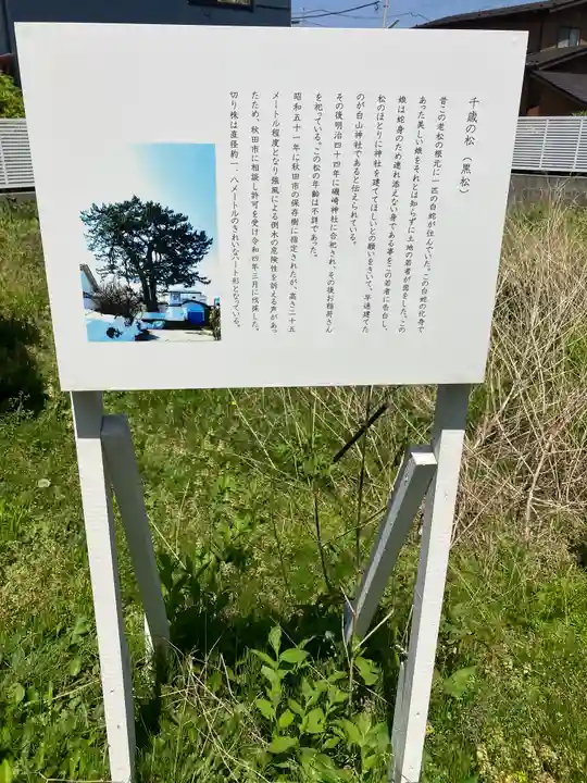 磯前神社(秋田県)