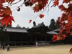 圓教寺の本殿