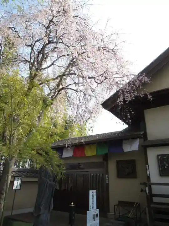 真光寺(千葉県)