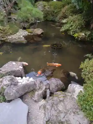 金蛇水神社(宮城県)