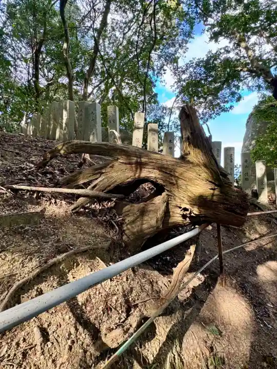 岩上神社(兵庫県)