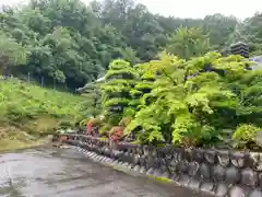 吉祥寺の庭園