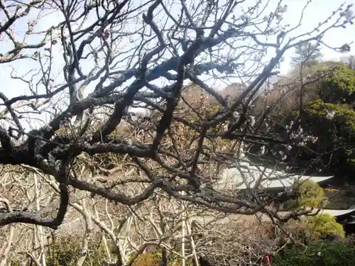 瑞泉寺のその他建物