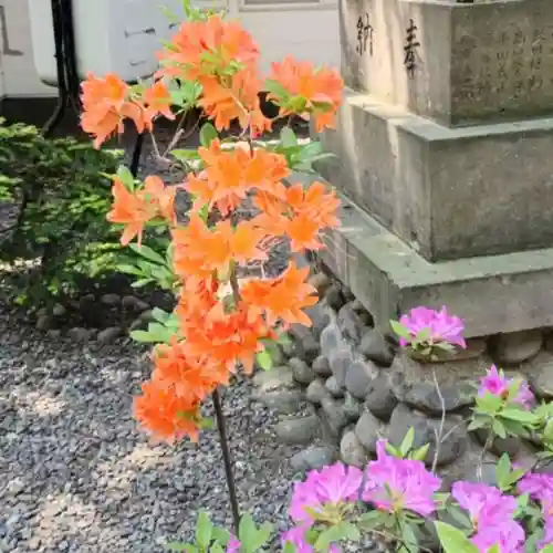 彌彦神社　(伊夜日子神社)の自然