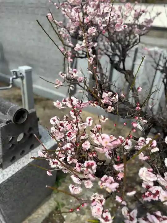天神社(兵庫県)