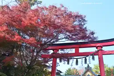高尾山薬王院(東京都)