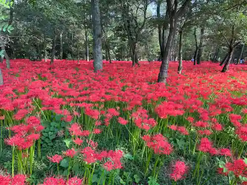 高麗神社(埼玉県)