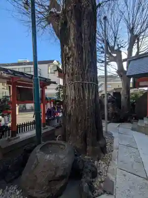 五柱五成神社(東京都)