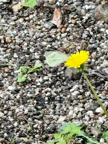 天王神社(京都府)