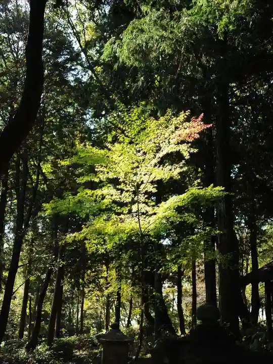 浄土寺(兵庫県)