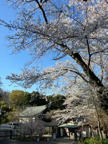 本土寺(千葉県)