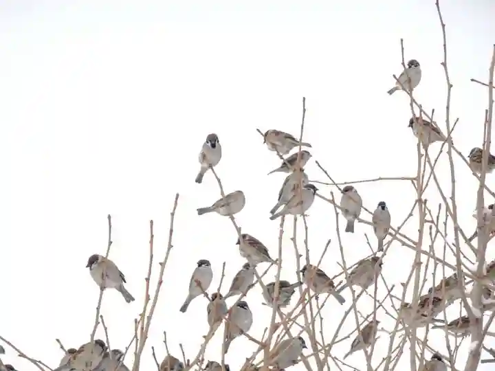 雨竜 専福寺(北海道)
