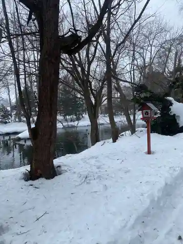 永山神社の自然