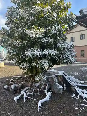 都恵神社(滋賀県)